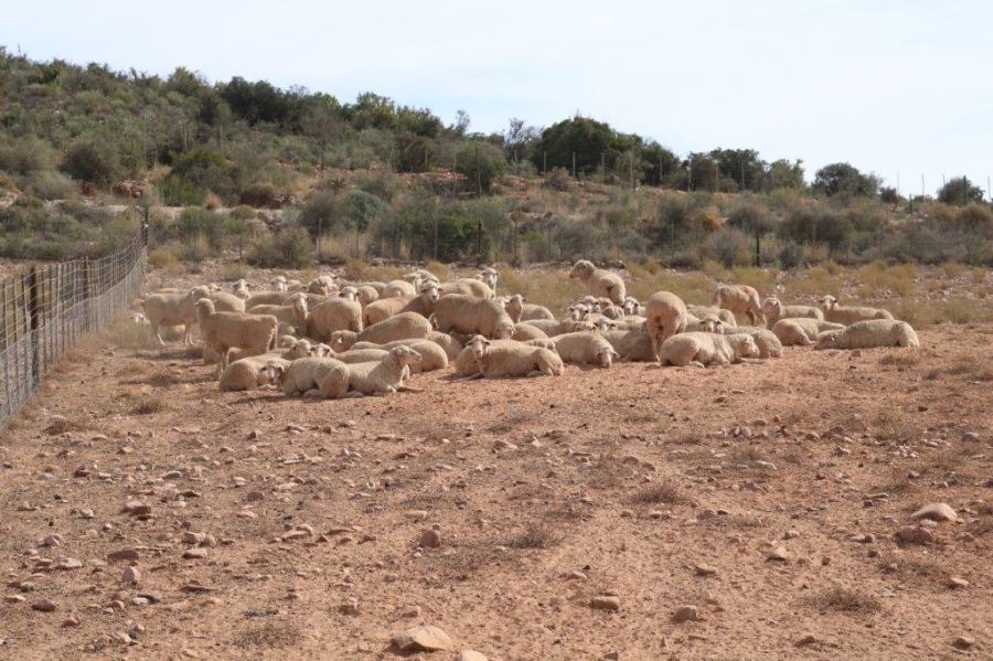 Commercial Property for Sale in Oudtshoorn Rural Western Cape